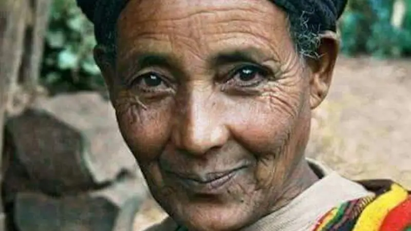 Stop Amhara Genocide