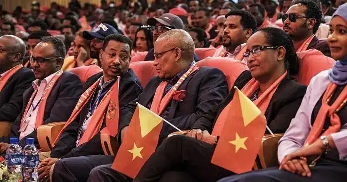 Ethiopia,Political Crossroads,TPLF,TPLF Split